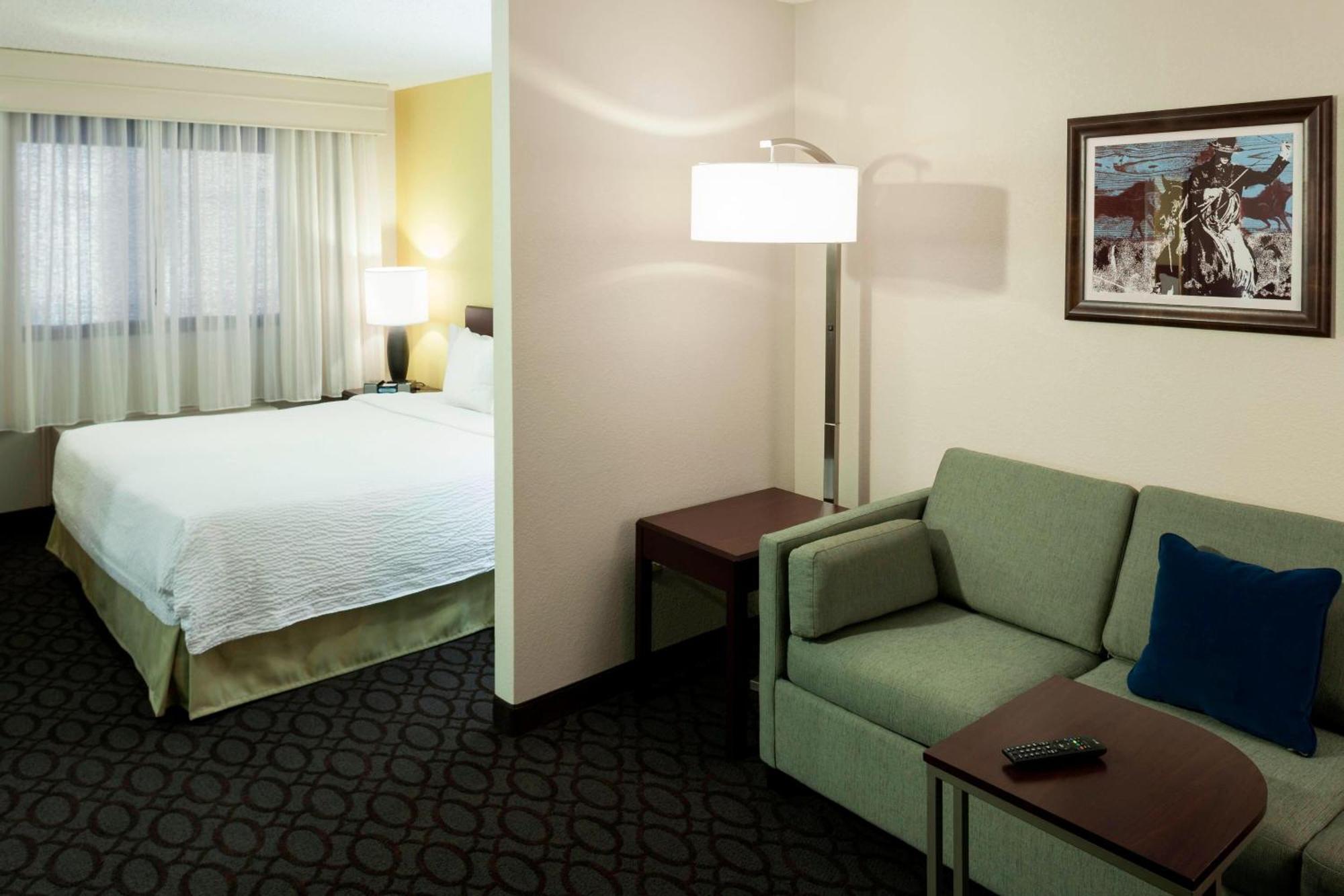 Springhill Suites By Marriott Dallas Downtown / West End Exteriér fotografie